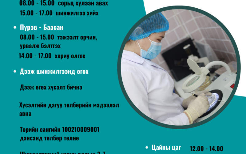 Орхон аймаг - Эрдэнэт хот